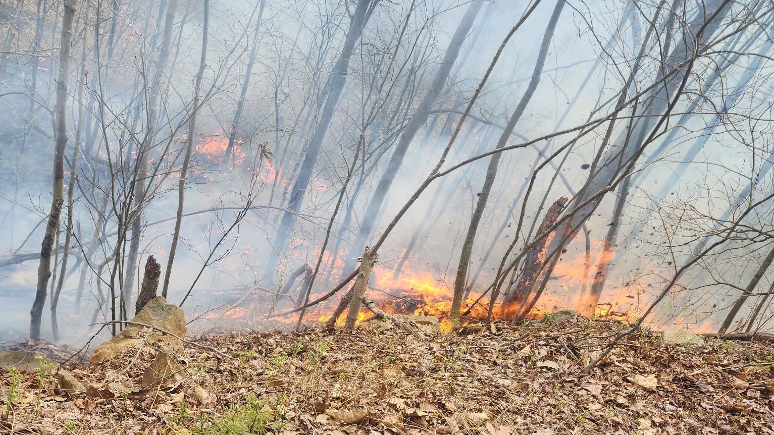Firefighters, nature, handle brush fire in Mahanoy Township The