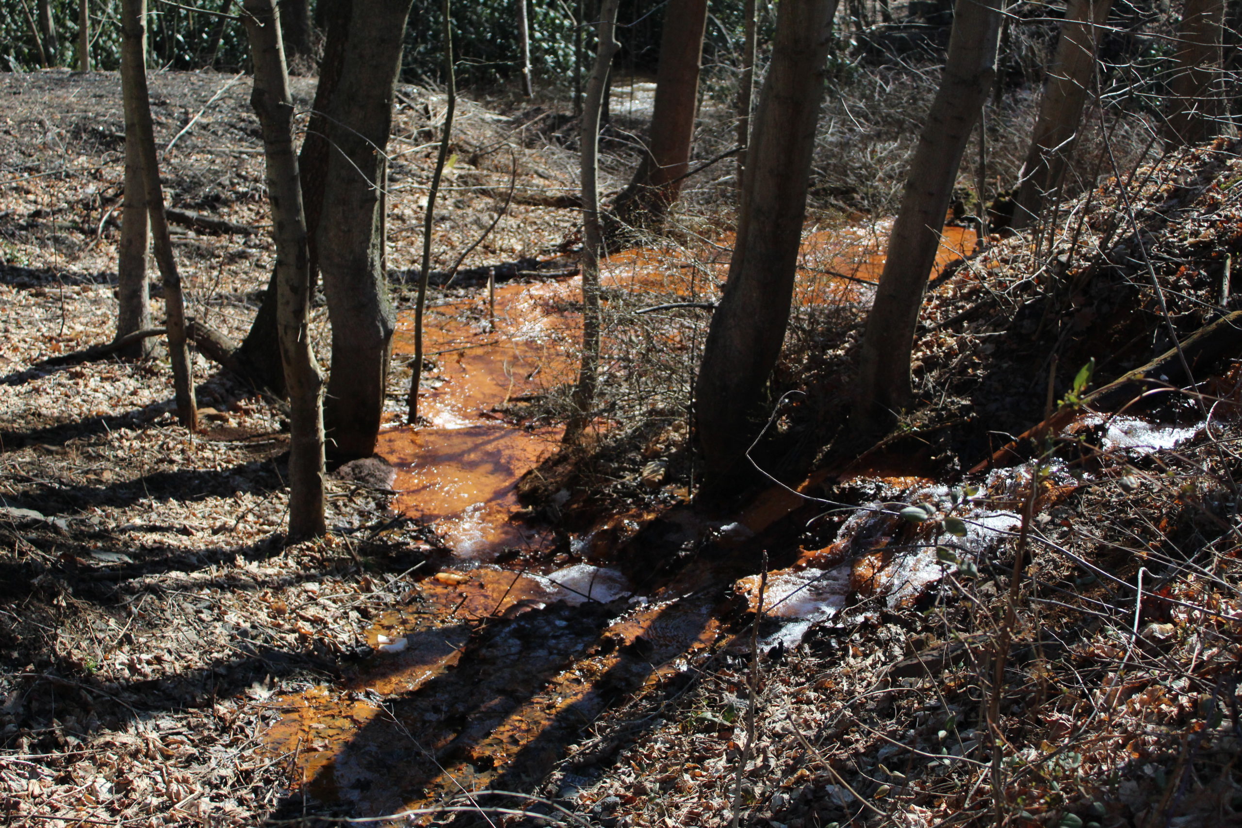 PHOTOS Big Mine Run geyser near Ashland The Shenandoah Sentinel