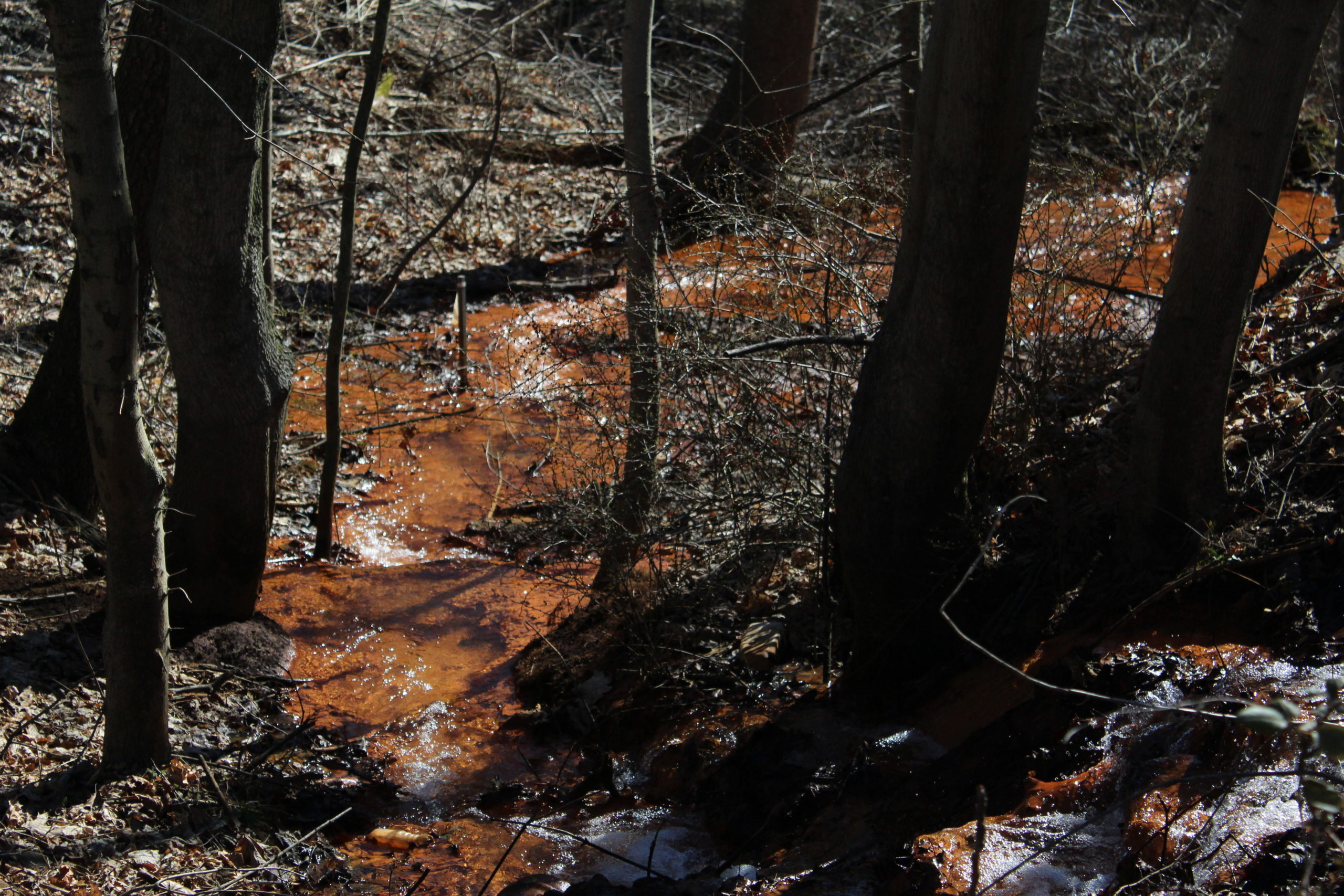PHOTOS Big Mine Run geyser near Ashland The Shenandoah Sentinel