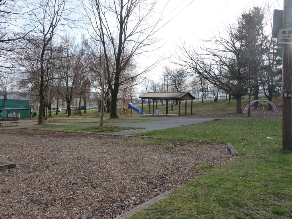 Shen. Council holds special meeting to consider Girard Park