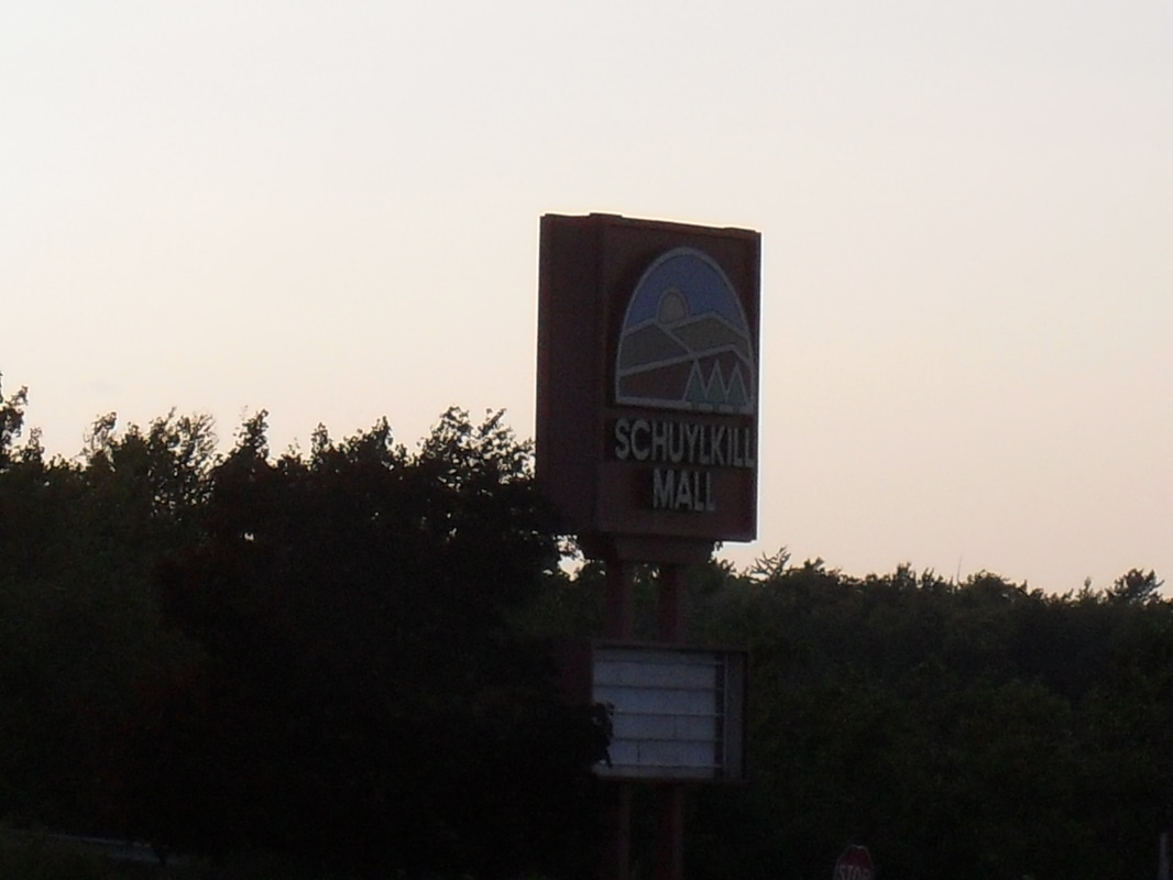 Schuylkill Mall to be sold at auction The Shenandoah Sentinel